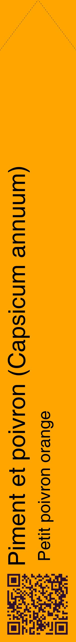 Étiquette de : Capsicum annuum Petit poivron orange - format c - style noire22_simplehel avec qrcode et comestibilité
