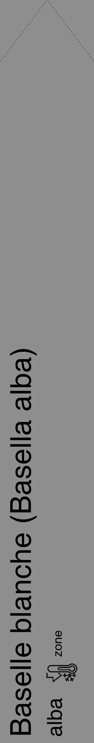 Étiquette de : Basella alba alba - format c - style noire25_simple_simplehel avec comestibilité - position verticale