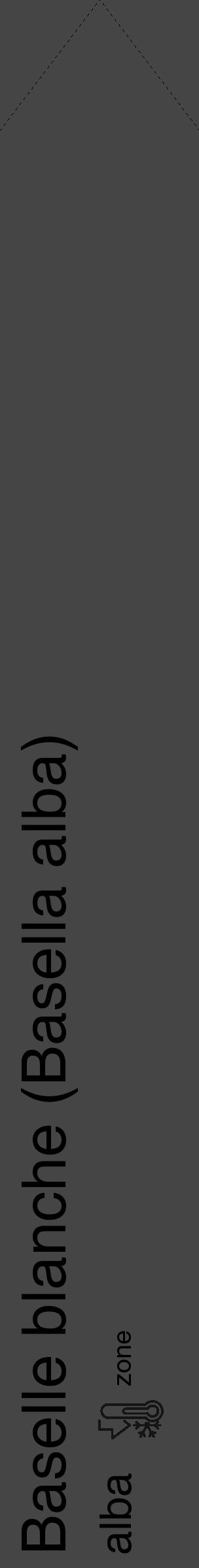 Étiquette de : Basella alba alba - format c - style noire58_simple_simplehel avec comestibilité - position verticale