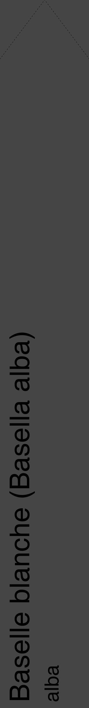 Étiquette de : Basella alba alba - format c - style noire58_simple_simplehel avec comestibilité - position verticale