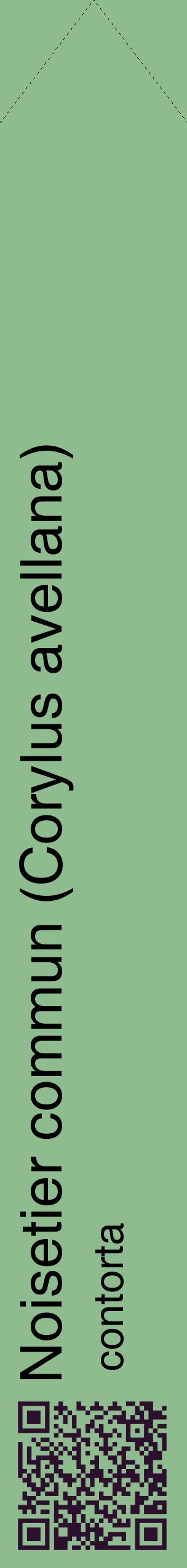 Étiquette de : Corylus avellana contorta - format c - style noire13_simplehel avec qrcode et comestibilité