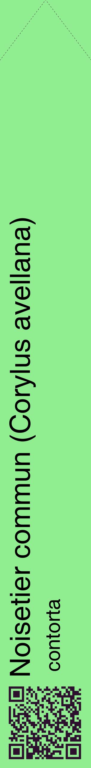 Étiquette de : Corylus avellana contorta - format c - style noire15_simplehel avec qrcode et comestibilité