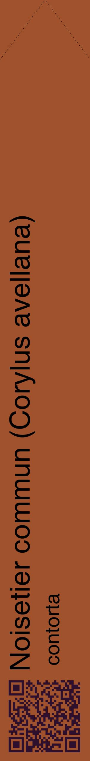 Étiquette de : Corylus avellana contorta - format c - style noire32_simplehel avec qrcode et comestibilité
