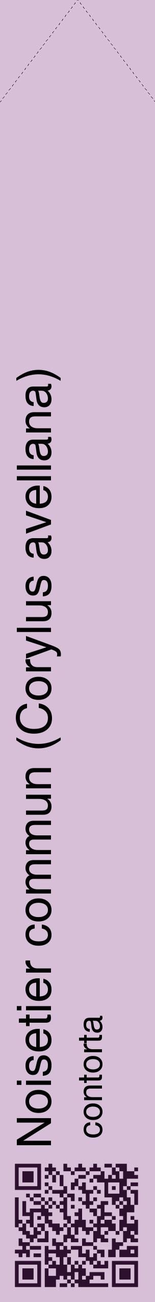 Étiquette de : Corylus avellana contorta - format c - style noire54_simplehel avec qrcode et comestibilité