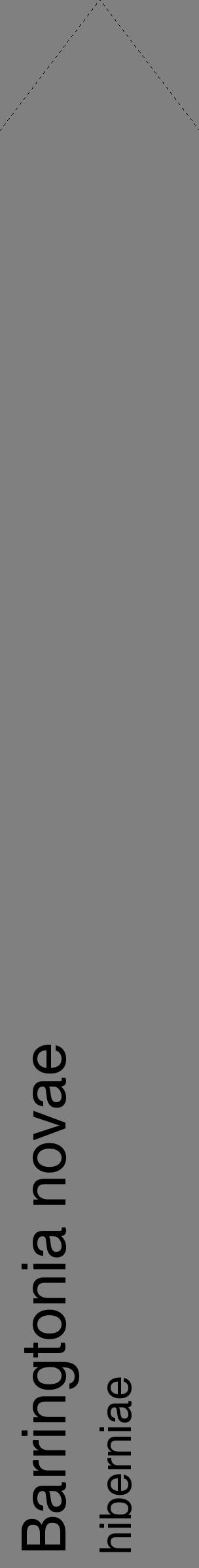 Étiquette de : Barringtonia novae hiberniae - format c - style noire57_simplehel avec comestibilité