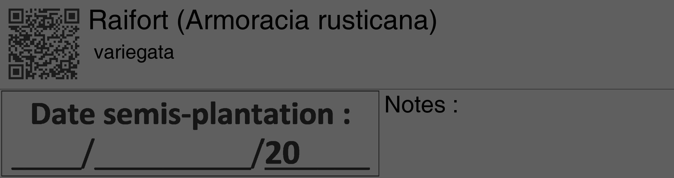Étiquette de : Armoracia rusticana variegata - format c - style noire10_basique_basiquehel avec qrcode et comestibilité