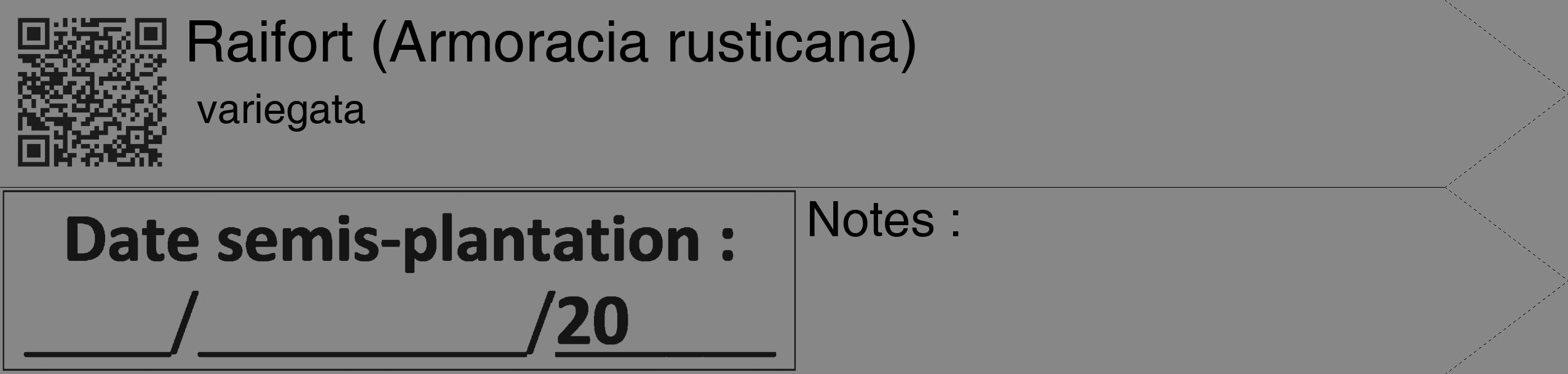 Étiquette de : Armoracia rusticana variegata - format c - style noire12_simple_simplehel avec qrcode et comestibilité