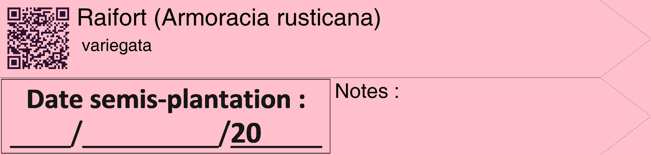 Étiquette de : Armoracia rusticana variegata - format c - style noire40_simple_simplehel avec qrcode et comestibilité