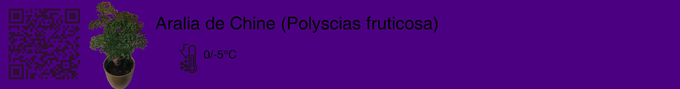 Étiquette de : Polyscias fruticosa - format c - style noire47_basique_basiquehel avec qrcode et comestibilité