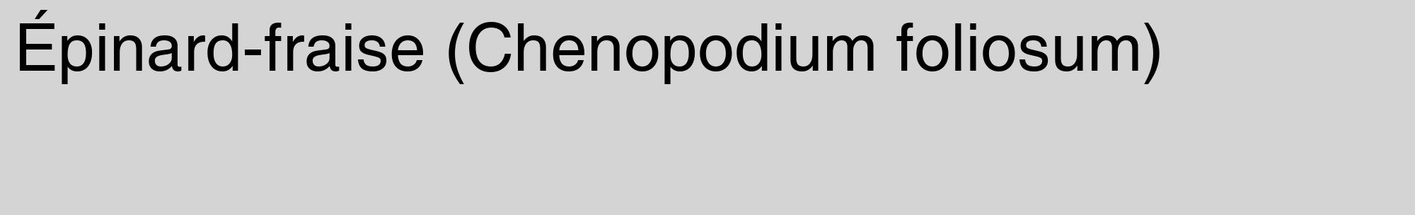Étiquette de : Chenopodium foliosum - format c - style noire40_basique_basiquehel avec comestibilité