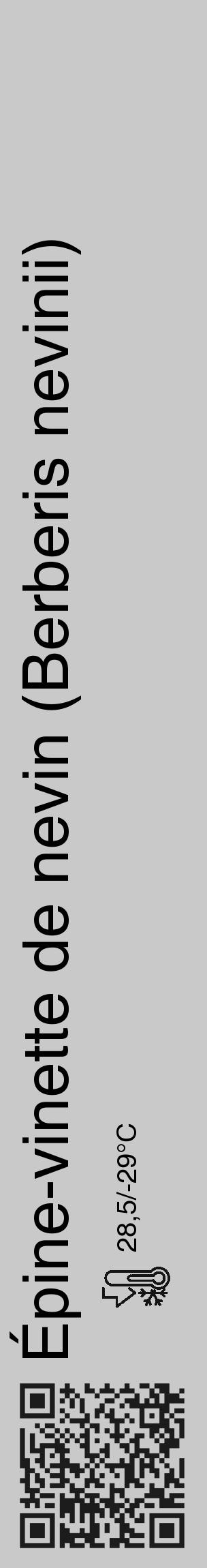 Étiquette de : Berberis nevinii - format c - style noire54_basique_basiquehel avec qrcode et comestibilité - position verticale