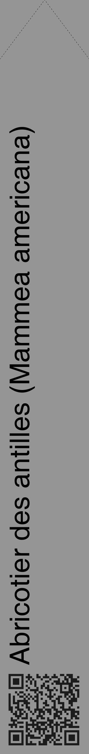 Étiquette de : Mammea americana - format c - style noire16_simple_simplehel avec qrcode et comestibilité - position verticale