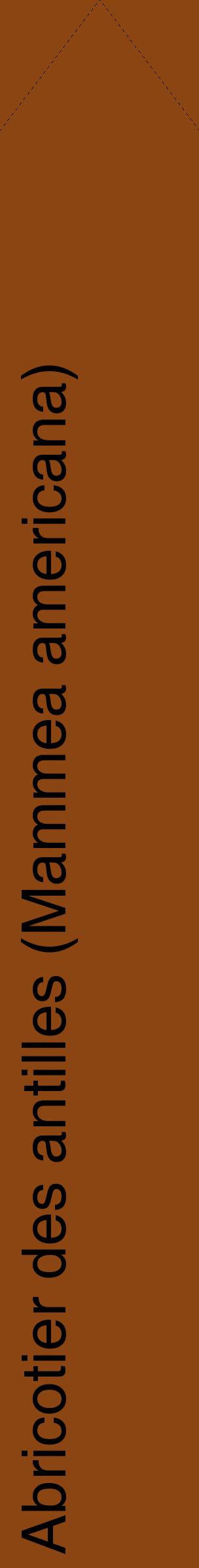 Étiquette de : Mammea americana - format c - style noire30_simple_simplehel avec comestibilité - position verticale