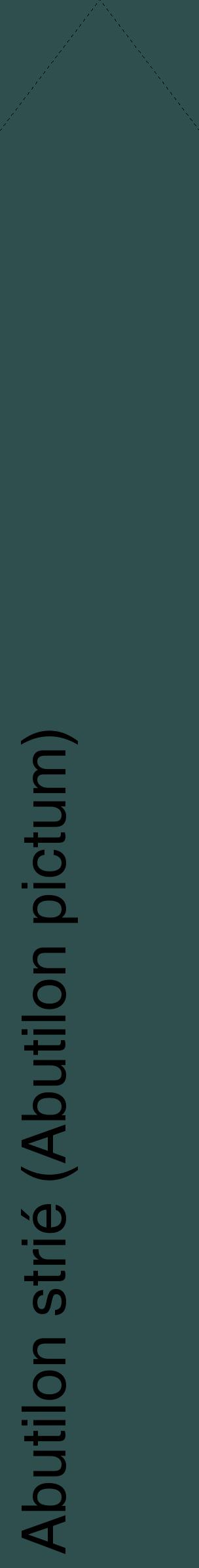 Étiquette de : Abutilon pictum - format c - style noire58_simplehel avec comestibilité