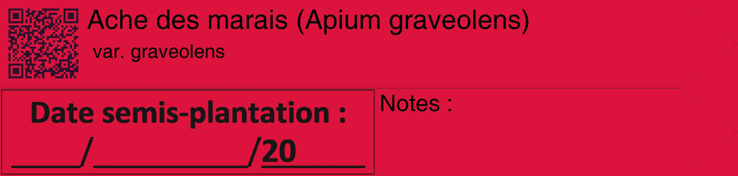 Étiquette de : Apium graveolens var. graveolens - format c - style noire36_simple_simplehel avec qrcode et comestibilité