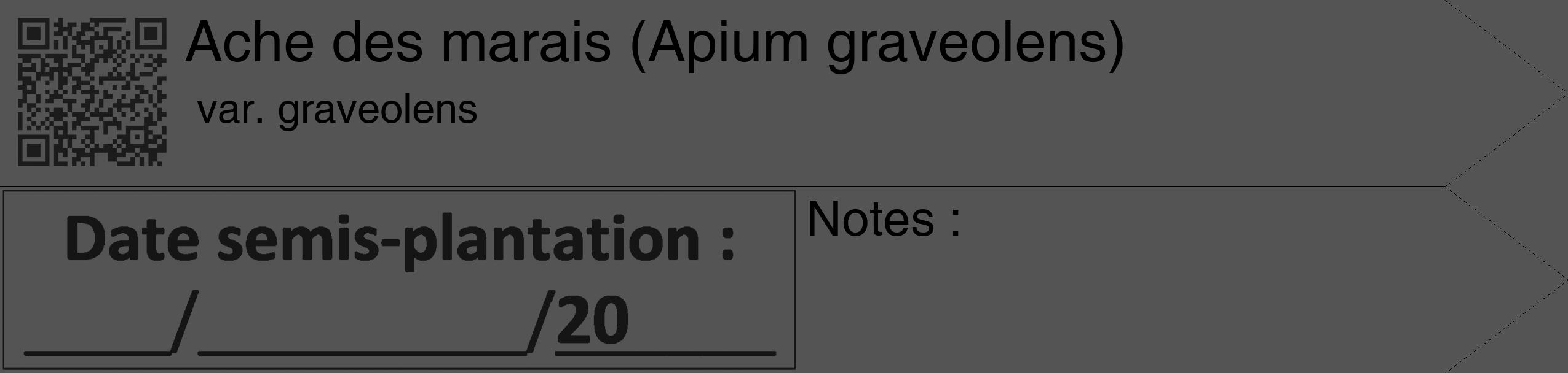 Étiquette de : Apium graveolens var. graveolens - format c - style noire36_simple_simplehel avec qrcode et comestibilité