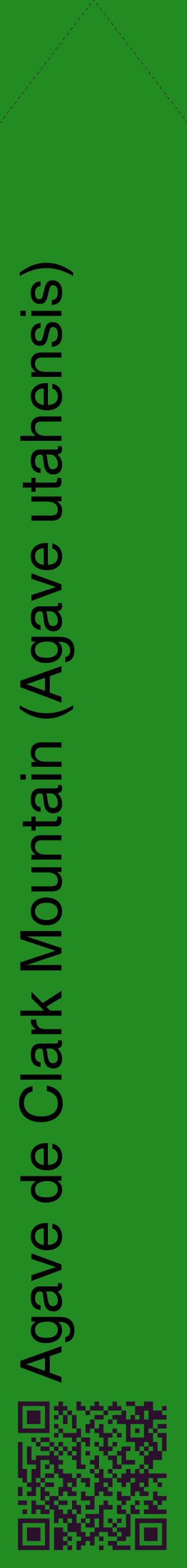 Étiquette de : Agave utahensis - format c - style noire10_simplehel avec qrcode et comestibilité