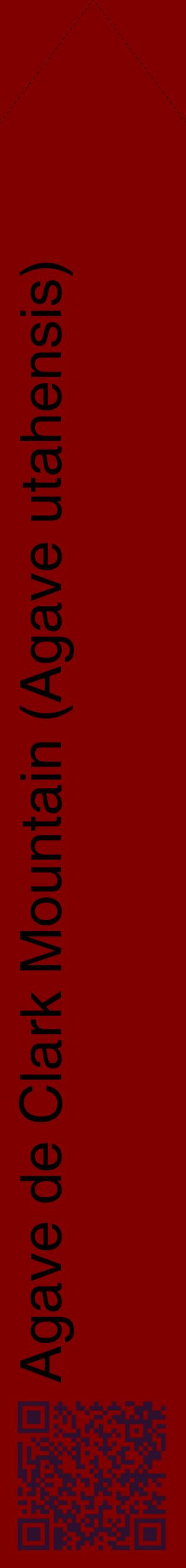 Étiquette de : Agave utahensis - format c - style noire29_simplehel avec qrcode et comestibilité