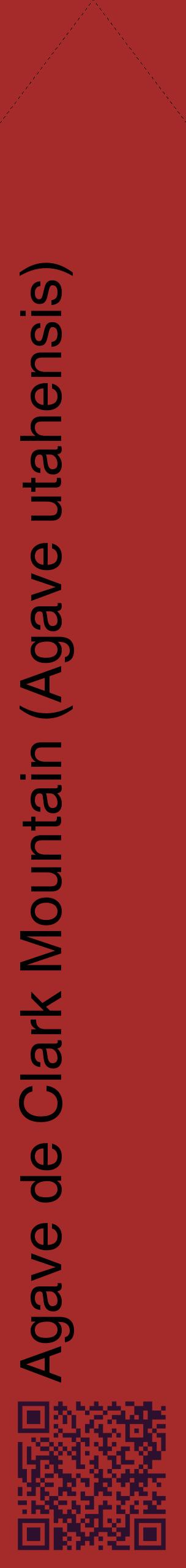 Étiquette de : Agave utahensis - format c - style noire33_simplehel avec qrcode et comestibilité
