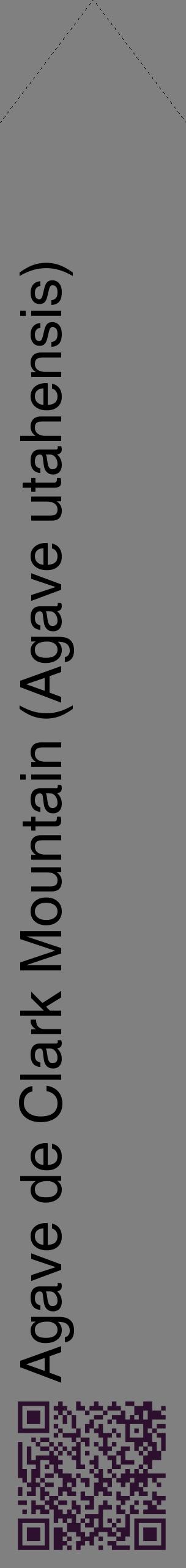 Étiquette de : Agave utahensis - format c - style noire57_simplehel avec qrcode et comestibilité