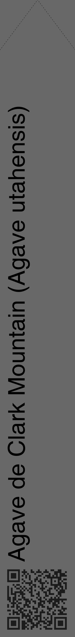 Étiquette de : Agave utahensis - format c - style noire6_simple_simplehel avec qrcode et comestibilité - position verticale