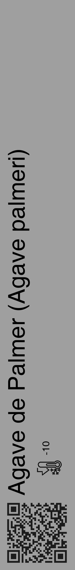 Étiquette de : Agave palmeri - format c - style noire24_basique_basiquehel avec qrcode et comestibilité - position verticale