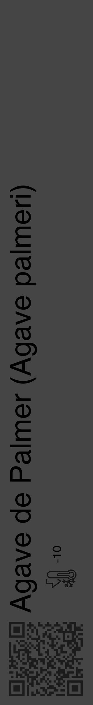 Étiquette de : Agave palmeri - format c - style noire58_basique_basiquehel avec qrcode et comestibilité - position verticale