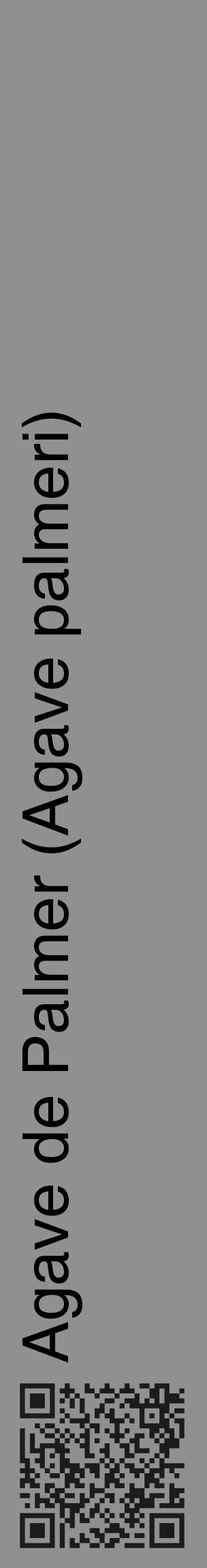 Étiquette de : Agave palmeri - format c - style noire4_basique_basiquehel avec qrcode et comestibilité - position verticale