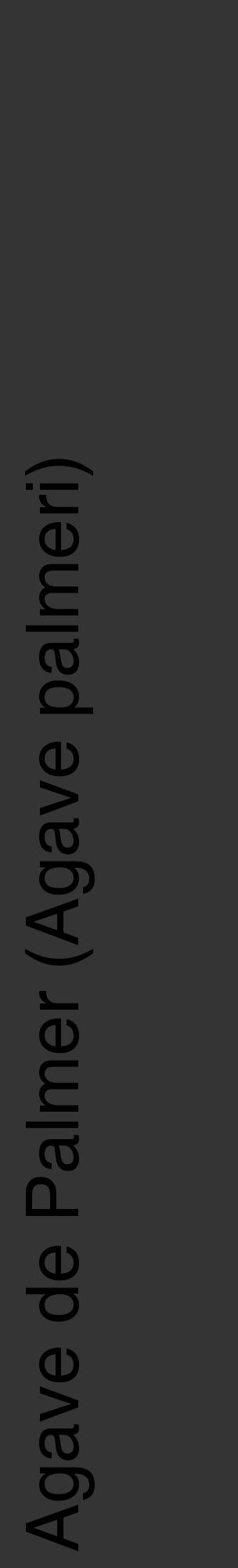 Étiquette de : Agave palmeri - format c - style noire46_basique_basiquehel avec comestibilité - position verticale