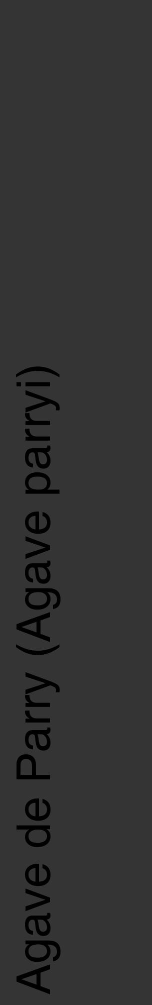 Étiquette de : Agave parryi - format c - style noire46_basique_basiquehel avec comestibilité - position verticale