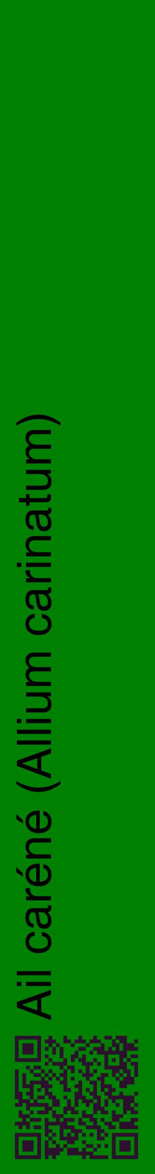 Étiquette de : Allium carinatum - format c - style noire9_basiquehel avec qrcode et comestibilité