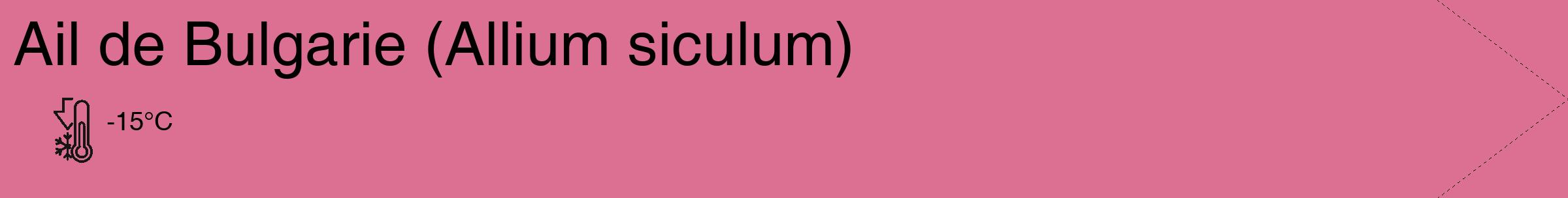 Étiquette de : Allium siculum - format c - style noire44_simple_simplehel avec comestibilité