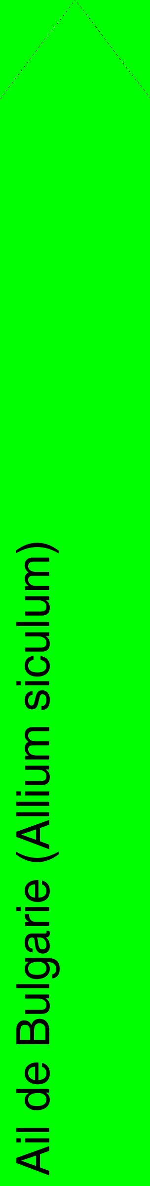 Étiquette de : Allium siculum - format c - style noire16_simplehel avec comestibilité