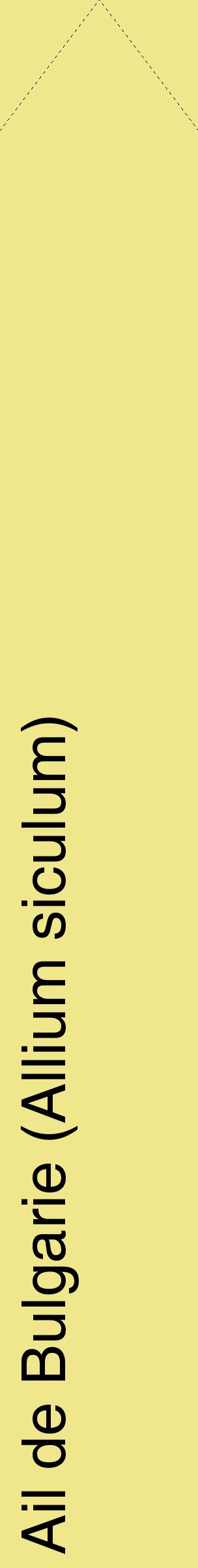 Étiquette de : Allium siculum - format c - style noire20_simplehel avec comestibilité