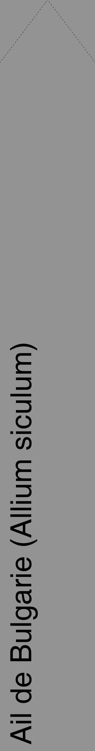 Étiquette de : Allium siculum - format c - style noire44_simple_simplehel avec comestibilité - position verticale