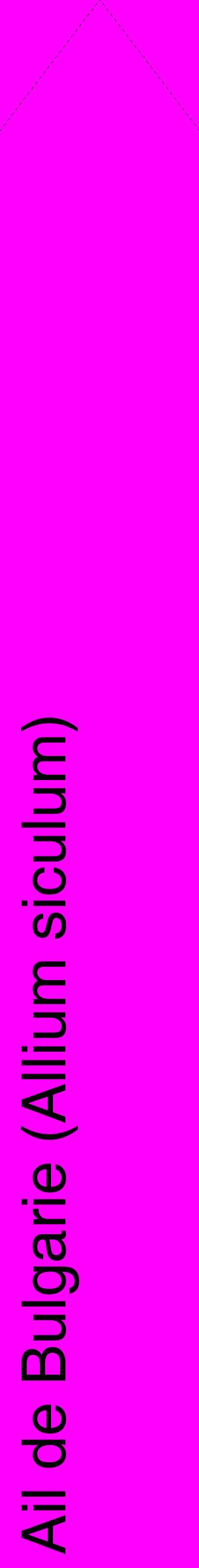 Étiquette de : Allium siculum - format c - style noire51_simplehel avec comestibilité