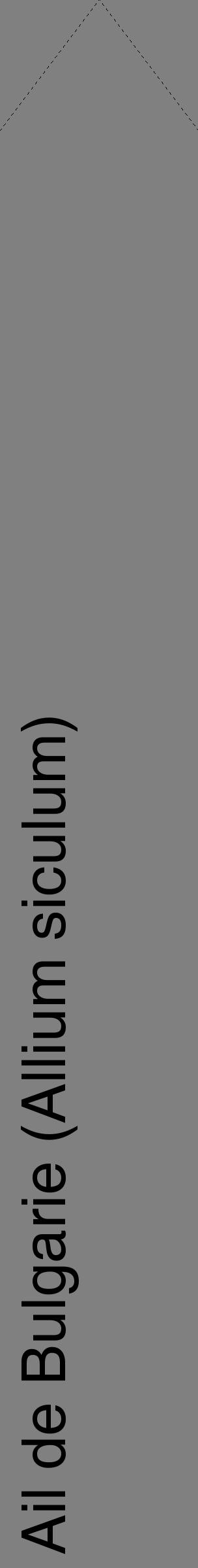 Étiquette de : Allium siculum - format c - style noire57_simplehel avec comestibilité
