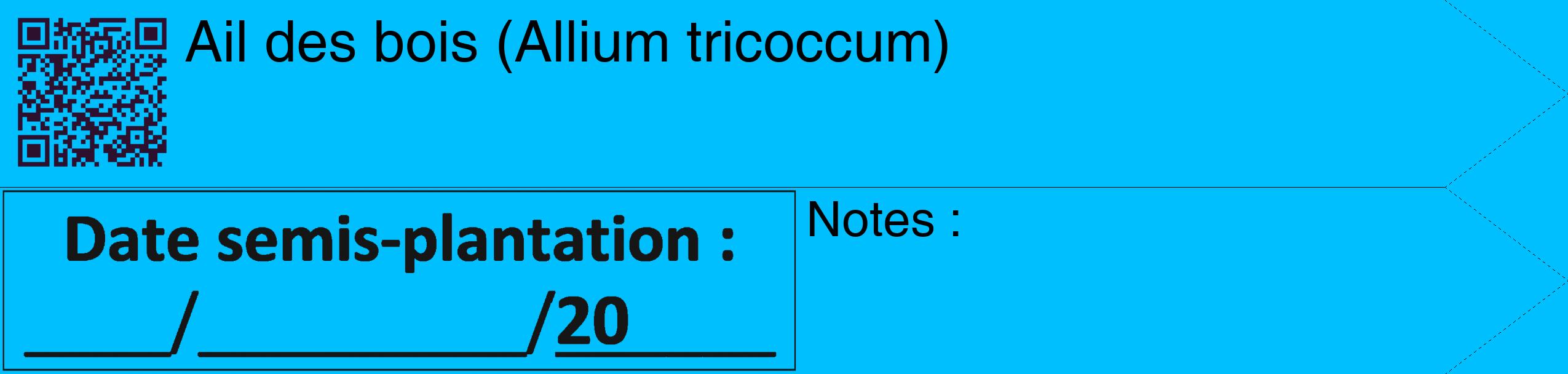 Étiquette de : Allium tricoccum - format c - style noire2_simple_simplehel avec qrcode et comestibilité