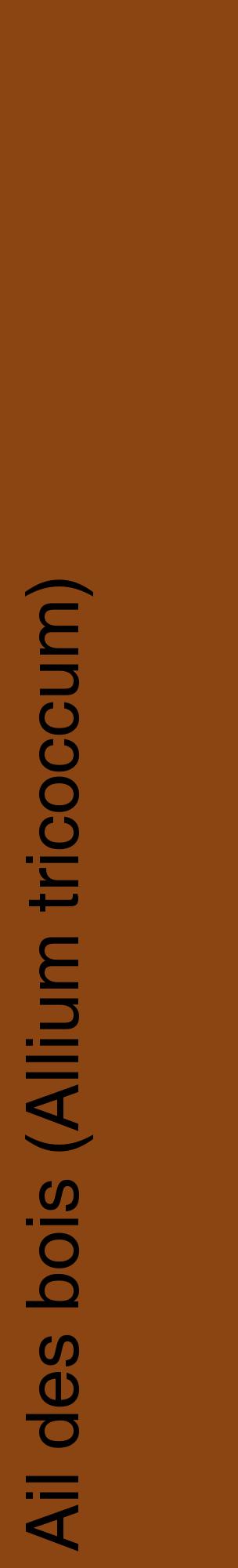 Étiquette de : Allium tricoccum - format c - style noire30_basiquehel avec comestibilité