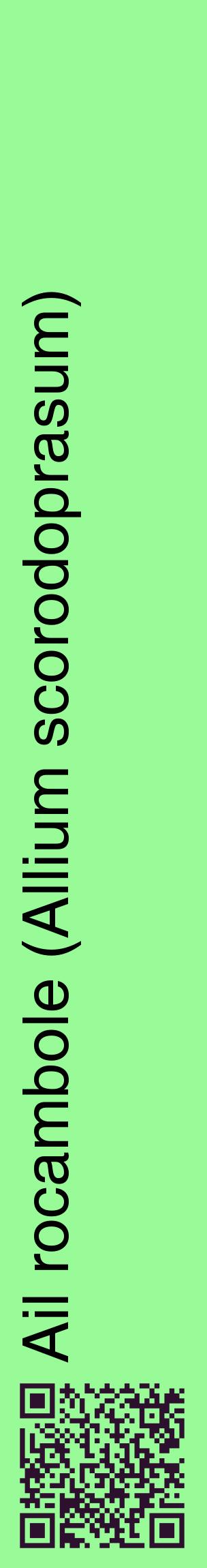 Étiquette de : Allium scorodoprasum - format c - style noire14_basiquehel avec qrcode et comestibilité