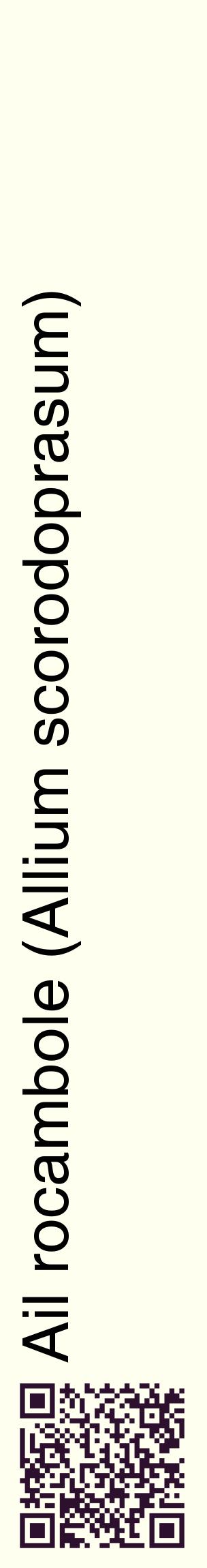 Étiquette de : Allium scorodoprasum - format c - style noire19_basiquehel avec qrcode et comestibilité