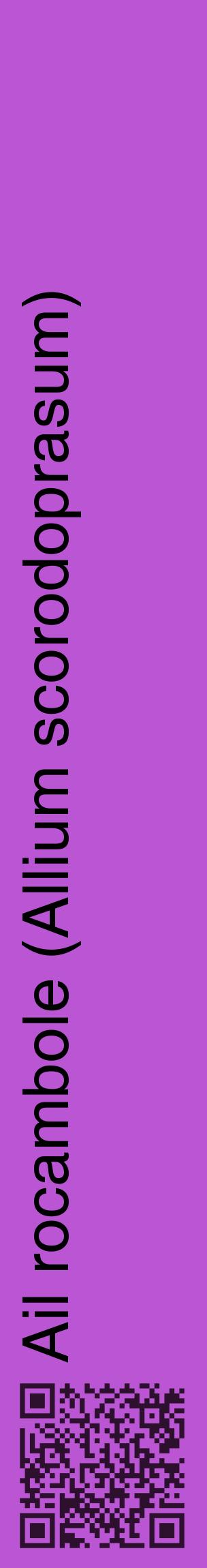 Étiquette de : Allium scorodoprasum - format c - style noire50_basiquehel avec qrcode et comestibilité