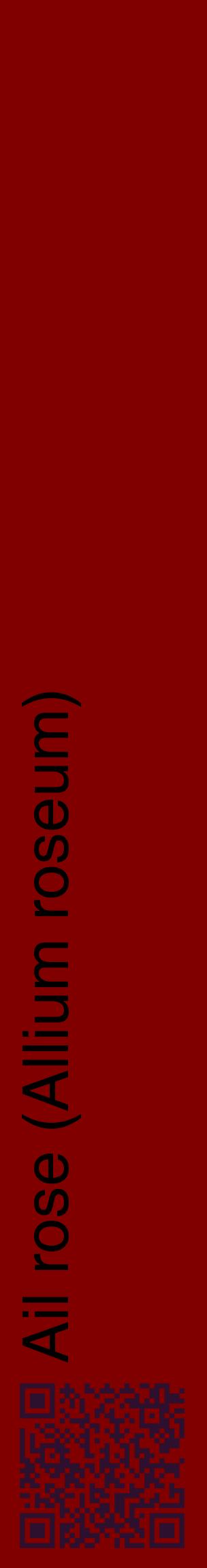 Étiquette de : Allium roseum - format c - style noire29_basiquehel avec qrcode et comestibilité