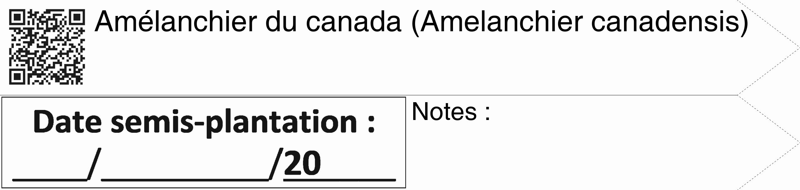 Étiquette de : Amelanchier canadensis - format c - style noire19_simple_simplehel avec qrcode et comestibilité
