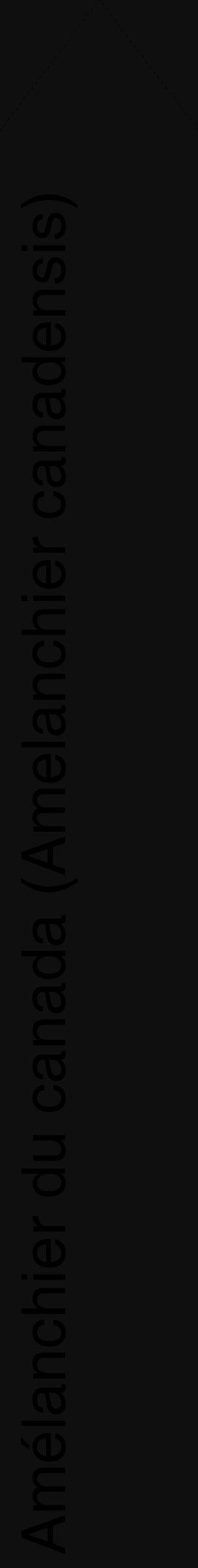 Étiquette de : Amelanchier canadensis - format c - style noire7_simple_simplehel avec comestibilité - position verticale