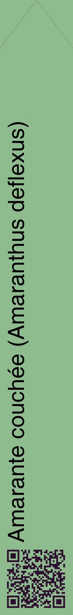 Étiquette de : Amaranthus deflexus - format c - style noire13_simplehel avec qrcode et comestibilité