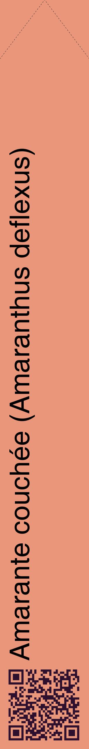 Étiquette de : Amaranthus deflexus - format c - style noire37_simplehel avec qrcode et comestibilité