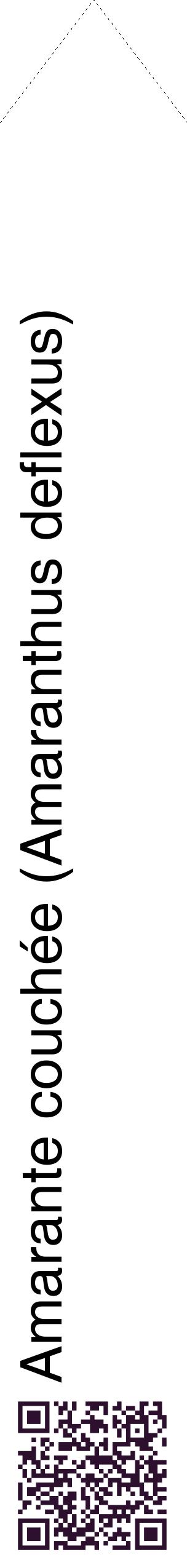 Étiquette de : Amaranthus deflexus - format c - style noire60_simplehel avec qrcode et comestibilité