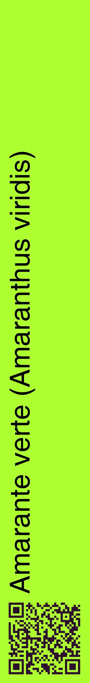 Étiquette de : Amaranthus viridis - format c - style noire17_basiquehel avec qrcode et comestibilité