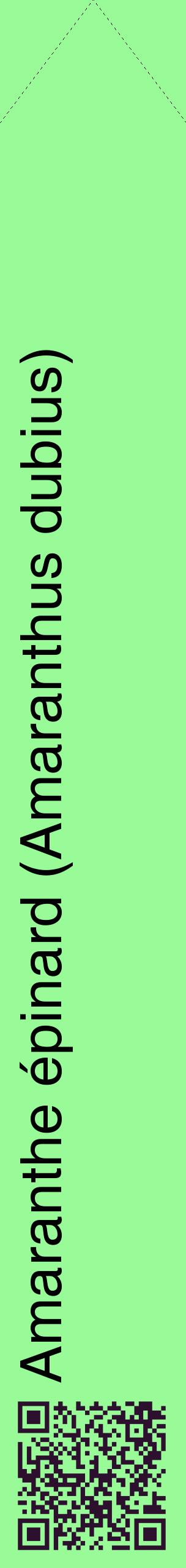 Étiquette de : Amaranthus dubius - format c - style noire14_simplehel avec qrcode et comestibilité
